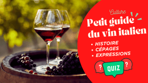 Petit guide du vin italien
