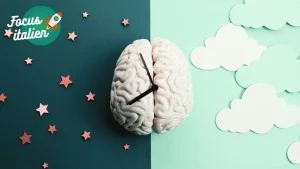 Vignette article focus italien chronotype