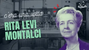 Vignette de l'article Rita Levi-Montalci